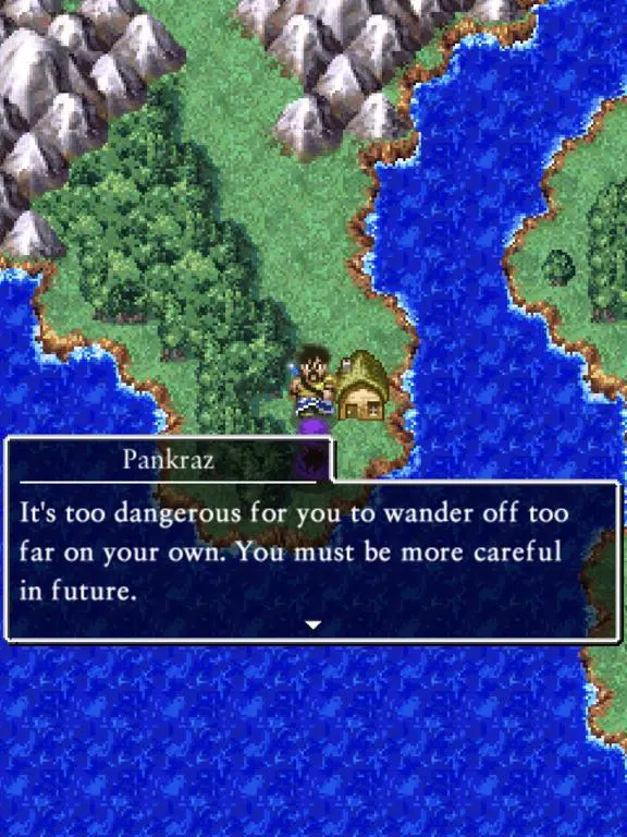 The Bride's Choice & Marriage - Dragon Quest V screenshot