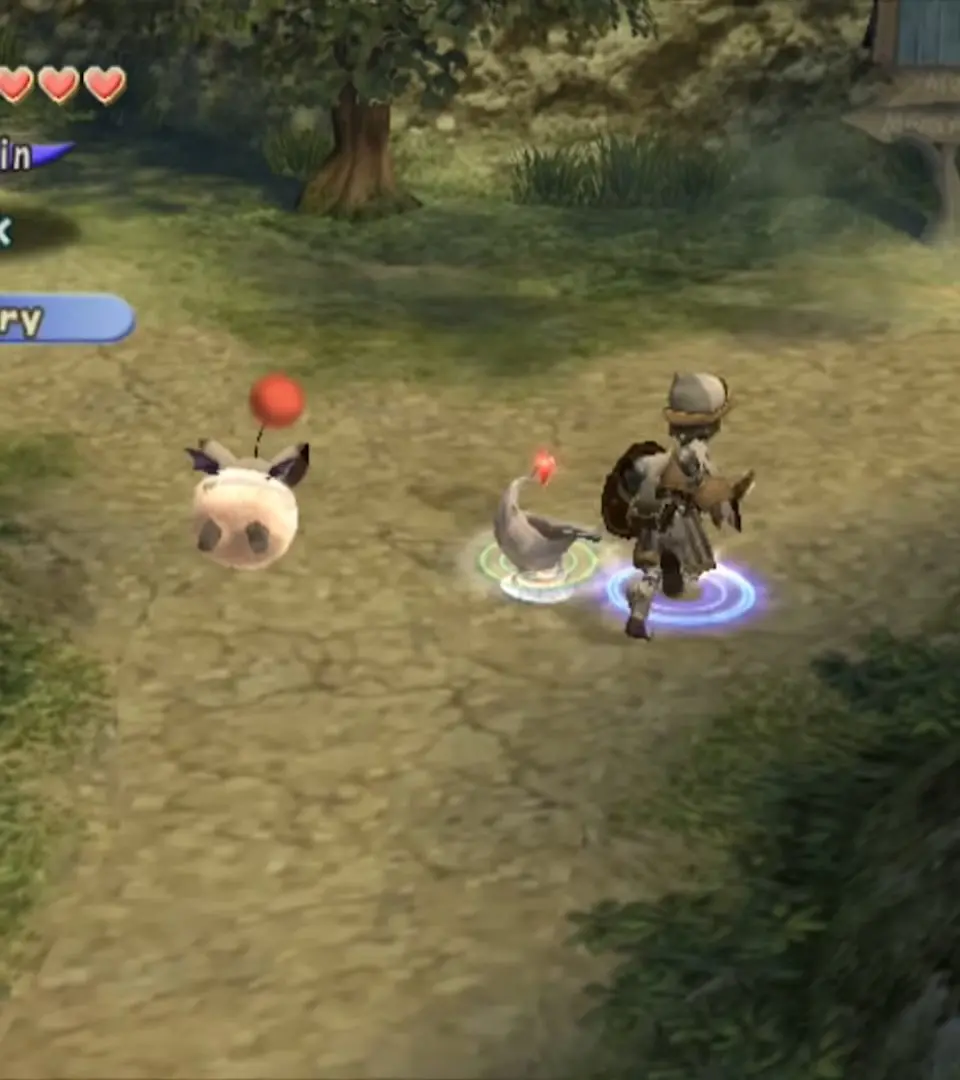 Accessories & Rings - Final Fantasy Crystal Chronicles screenshot