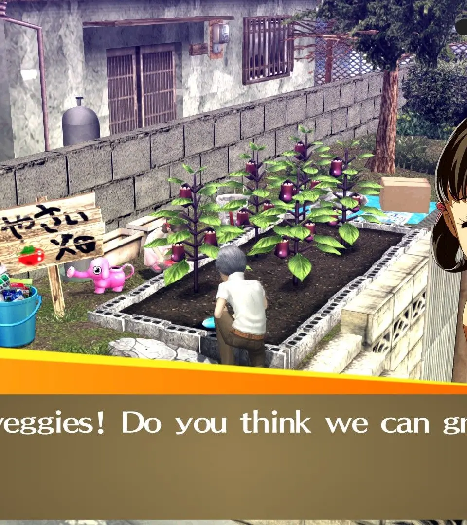 Beginner Tips & Strategies - Persona 4 Golden screenshot