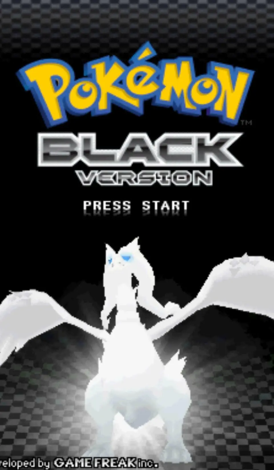 Champion Alder - Pokemon Black and White screenshot