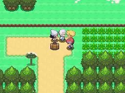 Route 213 and Pastoria City (Revisit) - Pokémon Diamond and Pearl screenshot