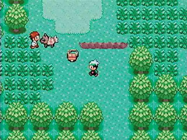 Victory Road & Elite Four - Pokémon Ruby and Sapphire screenshot