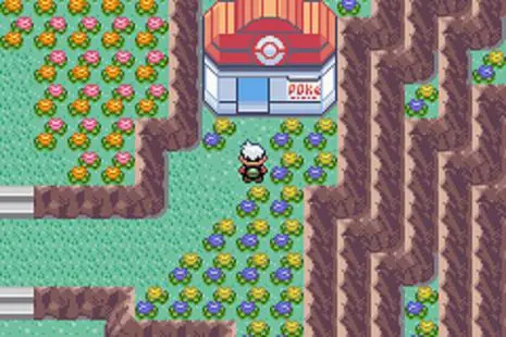 Hold Items - Pokémon Ruby and Sapphire screenshot