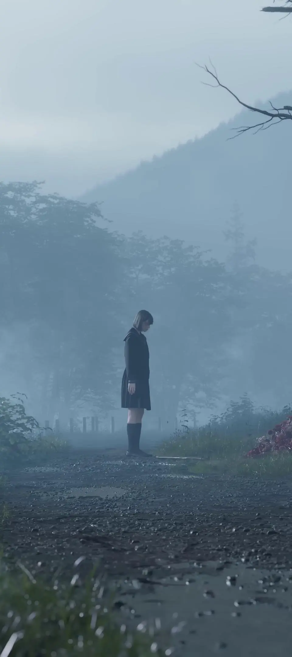 User Interface (UI) Overview - Silent Hill f screenshot