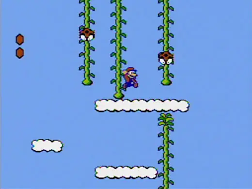 World 5-3 - Super Mario Bros. 2 screenshot