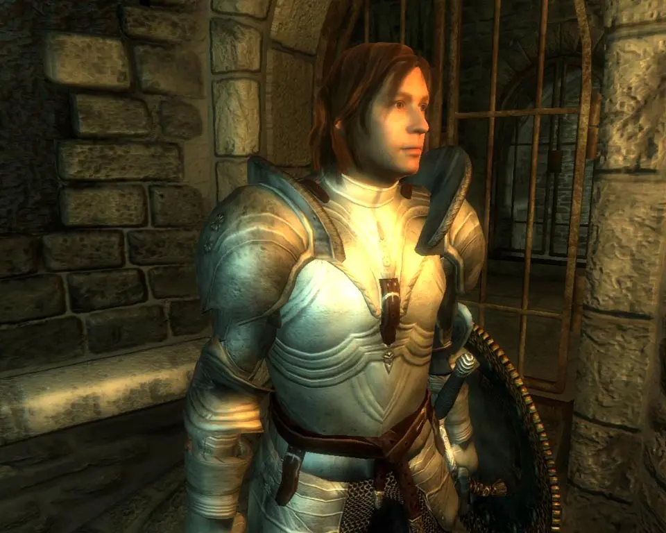 Understanding Skills and Attributes - The Elder Scrolls IV: Oblivion screenshot