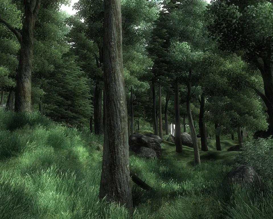 Mages Guild - The Elder Scrolls IV: Oblivion screenshot